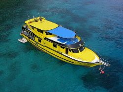 Dive Guide to Thailand, Phuket, Phi Phi & Similan Dive Guide to Thailand, Phuket, Phi Phi & Similan